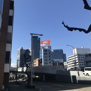 IMG_1810