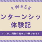 一週間のインターンシップを終えて